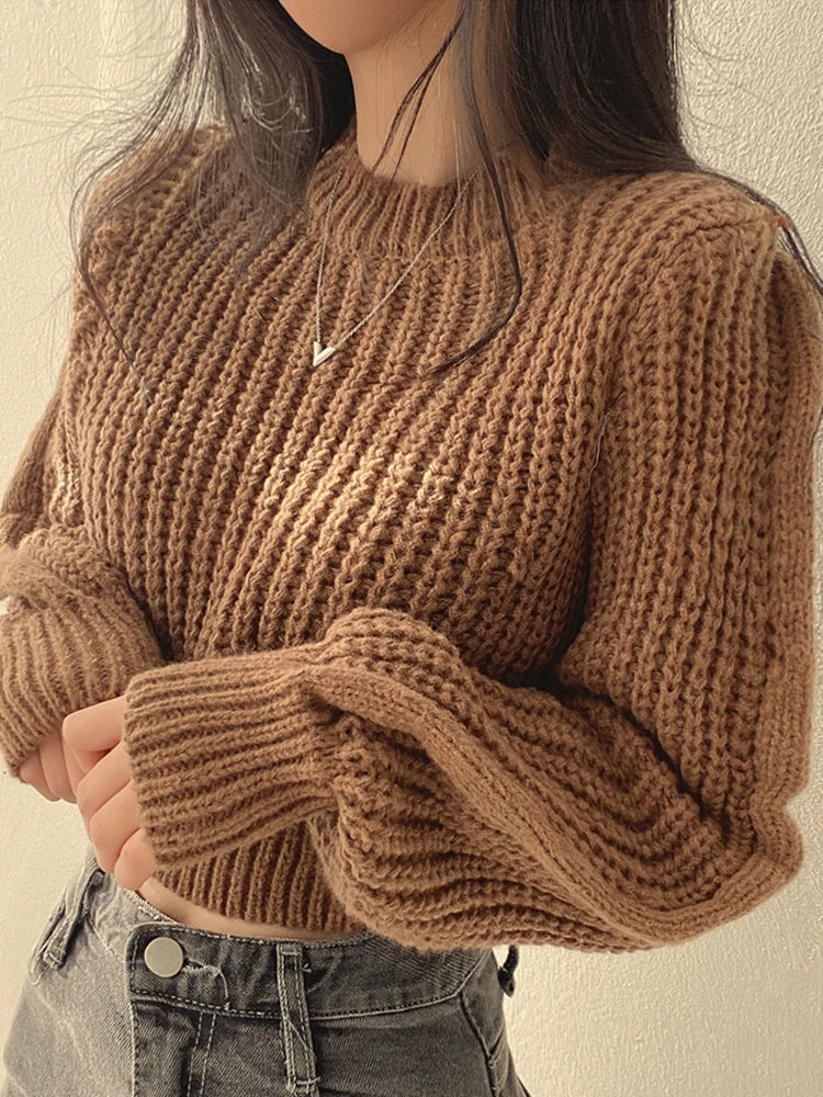 Loose Vintage Harajuku Lantern Sleeve Women's Sweater – Korean Knitwear